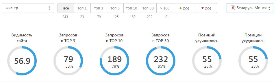 Панель позиций в яндексе по списку из 243 запросов, регион Минск